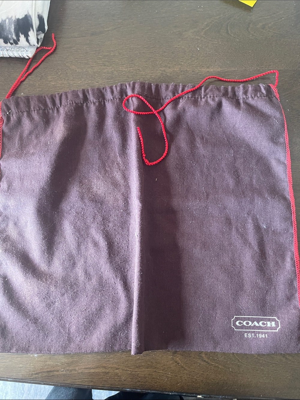 Coach dustbag 13x15